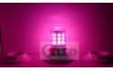 G9/E27/E14 5050 24SMD RGB LED Lamp with Remote Control